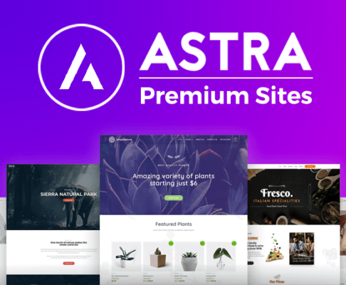 Astra Premium Starter Templates v3.4.6 GPL Download