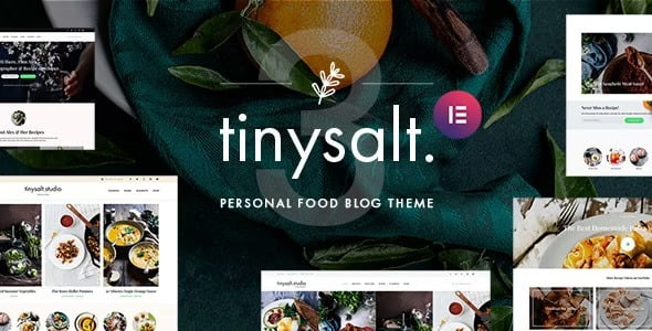 Tinysalt v3.2.0 Personal Food Blog WordPress Theme GPL Download